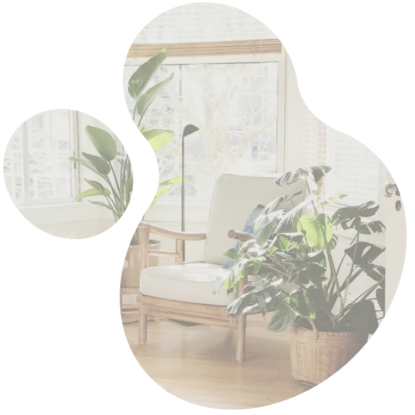 Minneapolis Move Out Move Out Cleaning Company